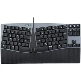 Perixx PERIBOARD-335 Low-Profile Blue Clicky DE
