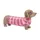 Möbel Kraft Dekofigur Hund ¦ braun ¦ Magnesia ¦ Maße (cm): B: 40,5 H: 21,5 T: 11.5