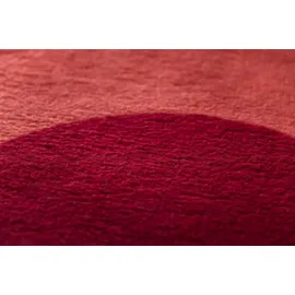 David Fussenegger - Rot