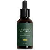 Saint Nutrition Chlorophyll Tropfen 50 ml