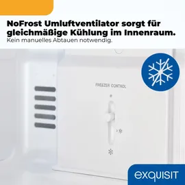 Exquisit KGC5265-70-NF-040C Kühl-Gefrierkombination (253 l, 1805 mm hoch, Silber)