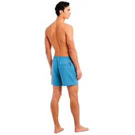 Protest Badeshorts Davey River Blue L