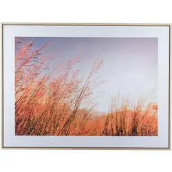 Bild mit Rahmen CREATIV HOME "Wiese", beige (farbe rahmen: hellbraun, farbe bild(er): natur), B:80cm H:60cm T:2,5cm, Bilder, mit besonderer Lichtstimmung
