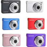 AgfaPhoto Realishot DC8300 Silber