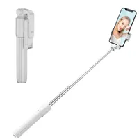 InLine Selfie Stick schwarz