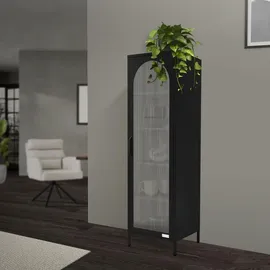 ML-Design Vitrinenschrank 45 x 145 x 35 cm Schwarz