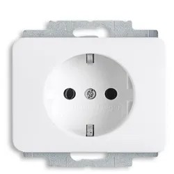 Busch-Jaeger 20 EUC-24G SCHUKO® Steckdosen-Einsatz