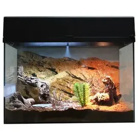 Lucky Reptile Terrarium-Starter Kit Schwarz 50 x 40 x 28 cm