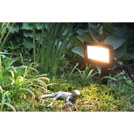 Megatron RGB/W Erdspieß 10W 3m Kabel