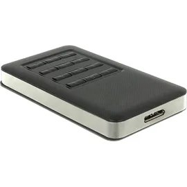 DeLock - M.2 Key B 42 mm SSD USB 3.0
