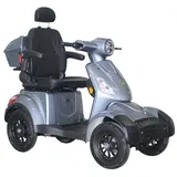 Greenstreet E-Mover Deluxe 1000 Watt 20 km/h grau