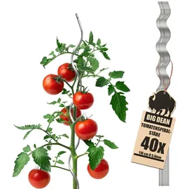 BigDean Tomatenspiralstäbe 110cm voll verzinkt Tomatenstab Pflanzstab