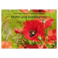 Calvendo Farbtupfer auf sommerlichen Feldern - Mohn und Kornblumen
