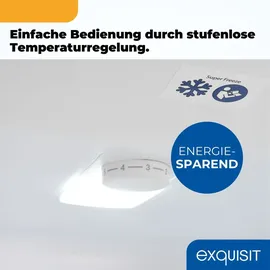 Exquisit KGC5320-95-E-040C Kühl-Gefrierkombination (315 l, 1858 mm hoch, Inoxlook-az)