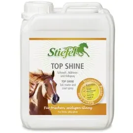 Stiefel Top Shine Nachfüllkanister 2,5 l