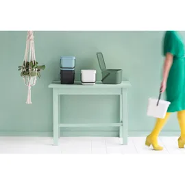 Brabantia Sort & Go Abfallbehälter 6 l grey