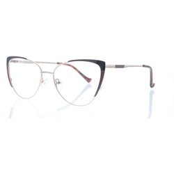 Brille TL3680 in der Farbe gold rotbraun schwarz