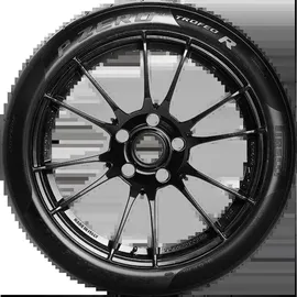 Pirelli P Zero Trofeo R 265/30 R19 93Y XL