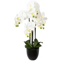 Gasper Creativ-green Kunstblume Orchidee, Phalaenopsis, weiß, im Resin-Topf, Höhe 69 cm