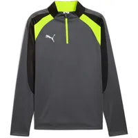 Puma IndividualLIGA 1/4 Zip Herren Sweatshirt, grau - XL