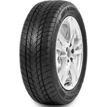 Davanti Wintoura 195/65 R15 91H