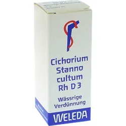 Cichorium Stanno cultum Rh D 3 Dilution 20 ml