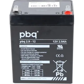 PBQ Blei Akku 2,9-12 2900 mAh 1 St.