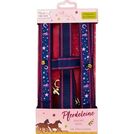 coppenrath verlag gmbh&co. kg Die Spiegelburg Pferdefreunde