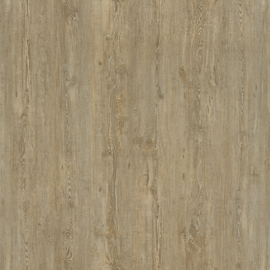 Amorim Decolife Vinylboden Holz-Optik, grau, BxL: 185 x 1220 mm