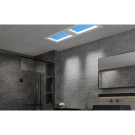 Xiaomi Yeelight Pro Dachleuchte P21 Dachleuchte P1