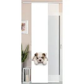 Gardinenbox 2er Set Schiebegardine Flächenvorhang Wildseide Optik und Voile Paneel, 245x45, Welpe, 80400