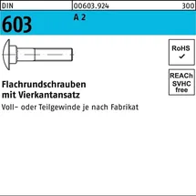 Hörger & Geßler Flachrundschraube DIN 603 Vierkantansatz M6 x 80 100 Stück