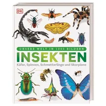 DK Verlag Dorling Kindersley Unsere Welt in 1000 Bildern. Insekten