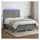vidaXL Boxspringbett 140 x 200 cm Dunkelgrau