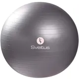 Sveltus Gymball Grau 65 cm