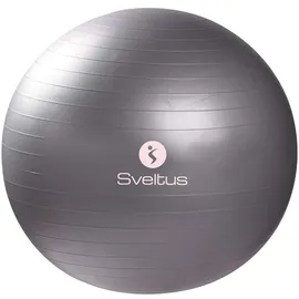Sveltus Gymball Grau 65 cm