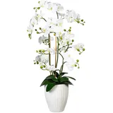 Creativ-green Kunstpflanze Orchidee Phalaenopsis, 110 cm