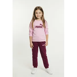 Puma Minicats Fleece Trainingsanzug 92, Mauve Glow pink),