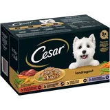 Cesar Landragout Vielfalt in Sauce 8 x 150 g