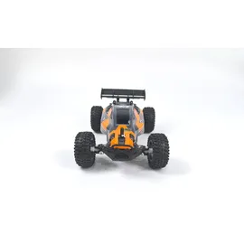 DF-Models RC-Buggy Rookie Fighter 2,4GHz RTR mehrfarbig (3147)