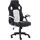 Raptor Gaming Raptor-Gaming Gaming-Stuhl schwarz/weiß