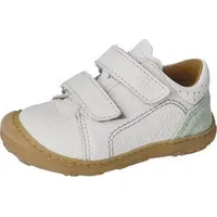 Pepino Tommy Offwhite/Avocado 21