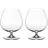 Riedel Vinum Spirituosenglas 0,84 l 2 St.