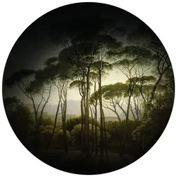K&L Wall Art Vliestapete »Runde Vliestapete«, Kiefern Wald Retro Landschaft, mehrfarbig, matt - bunt