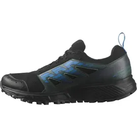 Salomon Wander GTX Herren Black/Darkest Spurce/Ibiza Blue 42 2/3