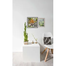 Nielsen Accent Aluminium weiß 10x15 cm 2 St.