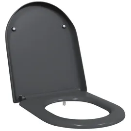 vidaXL Toilettensitz Anthrazit