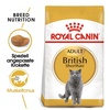royal canin britisch shorthair