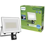 Philips LED Lois 929004643501 LED-Außenstrahler mit Bewegungsmelder 24 W, Kaltweiß