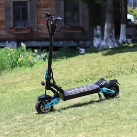 miniwalker Tiger 9 Pro schwarz